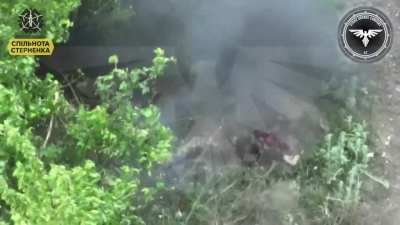 russian soldier commits suicide with a grenade after a failed assault NSFW