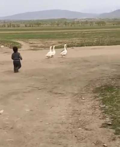 Who’s the boss now huh 