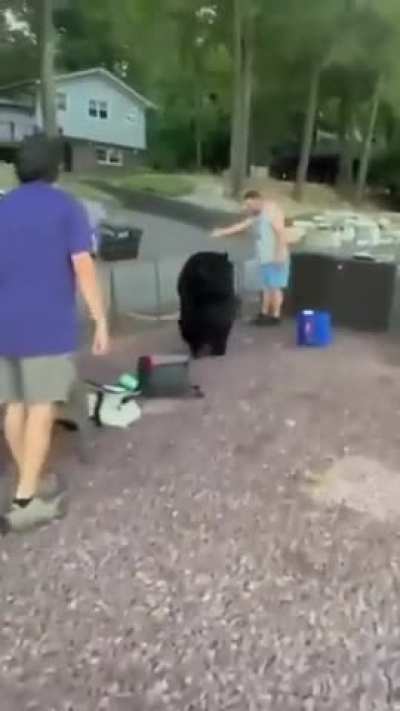This man, with more guts than common sense, "politely" removed a bear that broke into a party. 🐻