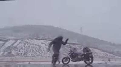 Thanks, I love biker dancing on ice with dog