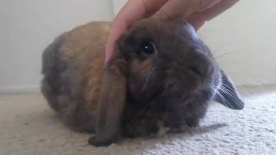 How to pat a loaf of bread