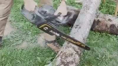 Blursed_Chainsaw