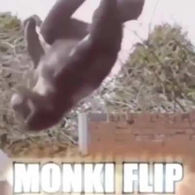 Not what you think