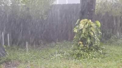Raining all day in Florida today and it comes in waves like the ocean.