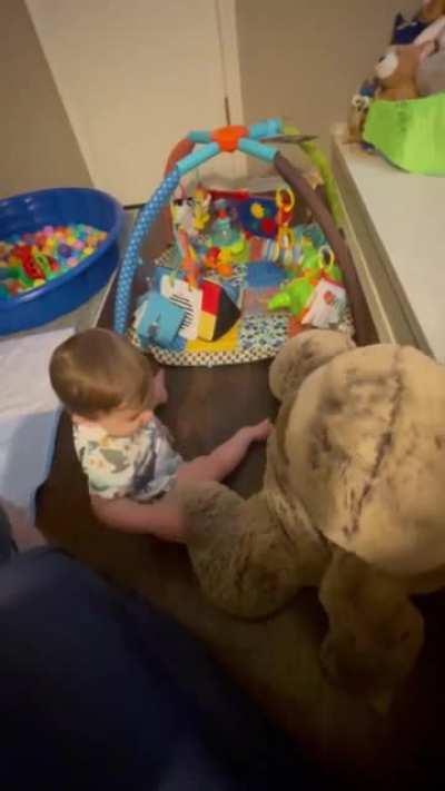 He did NOT like his stuffed sloth.