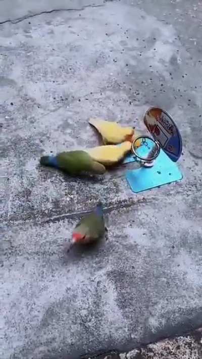 Напряжённый матч