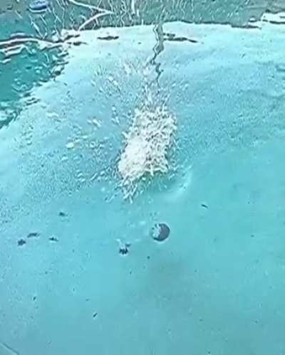 Buguei lindo depois desse v&iacute;deo