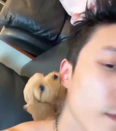 mAN bRutAlLlY mAuLed bY viCiOuS dOG