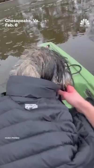 Teenager rescues dog from freezing pond