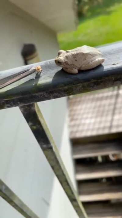 Incredibly fast !