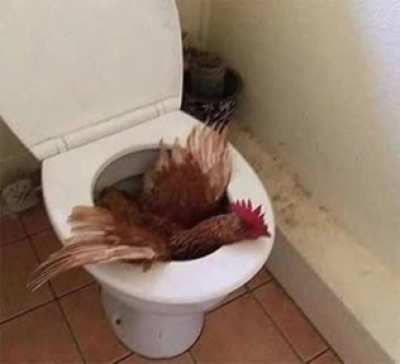Touhou Toilets #32 (the original)