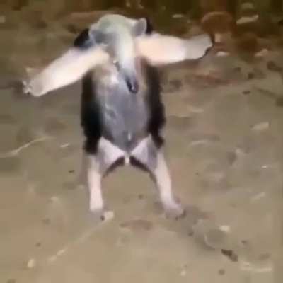 OOOOOO