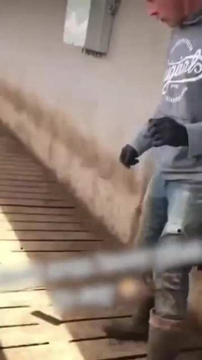 Maybe maybe maybe