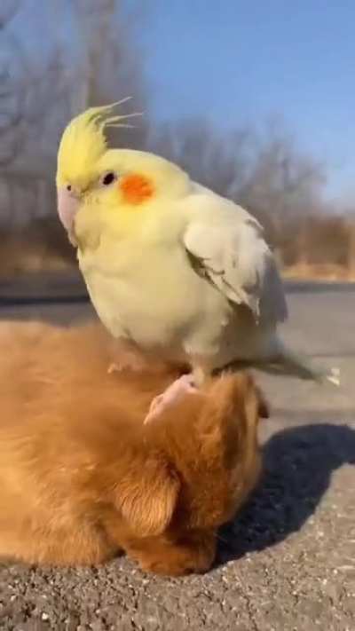 Zzzzz...