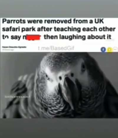 Charrot