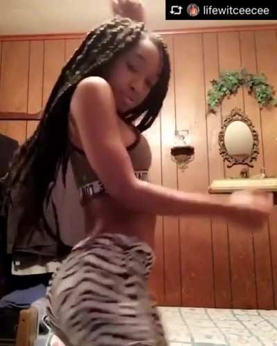 🦓pt 2