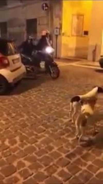 You shall not pass!
