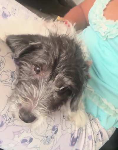 Ser&aacute; que est&aacute; c&oacute;modo aqu&iacute; ? Te amo mi tobby