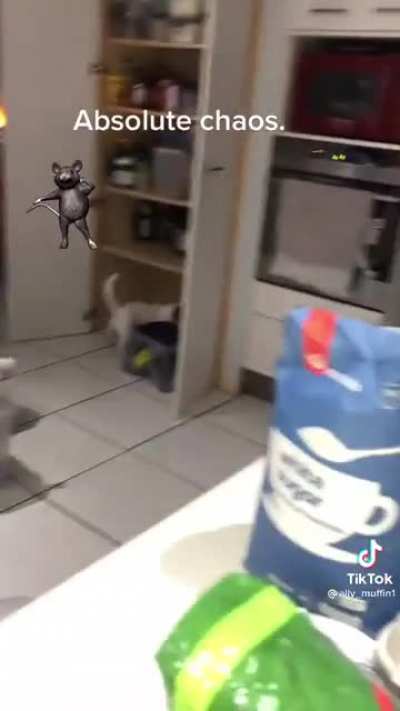 Absolute chaos