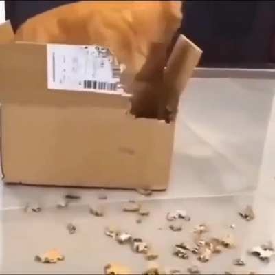 What's he missing?