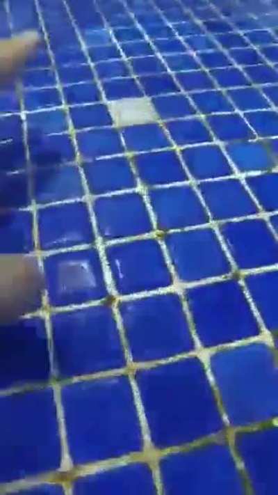 Blursed_Pool