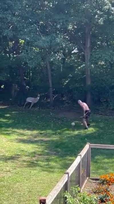 Alex Pereira shooting at glover&rsquo;s backyard.