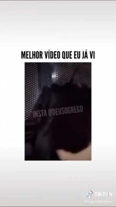 Gato Galáctico