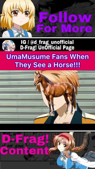 The horses have taken over my feed.