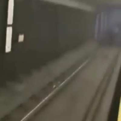 subway surfing in real life (real)