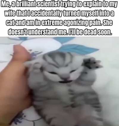 meow
