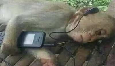 Muca dps do termino