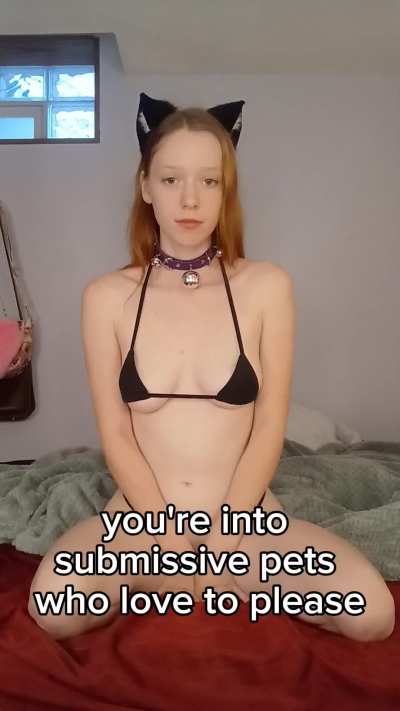 Do you like submissive pets?