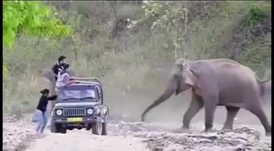 He even does the trunk gesture