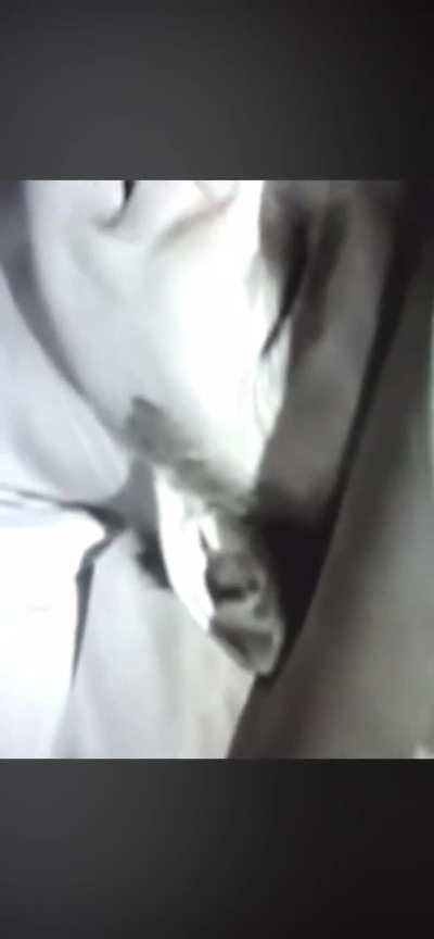 Reptilian Ears from &ldquo;Rifle Man&rdquo; link in comments