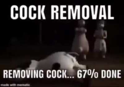 he's trying to change his gender