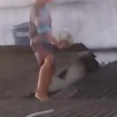 seu mamaco