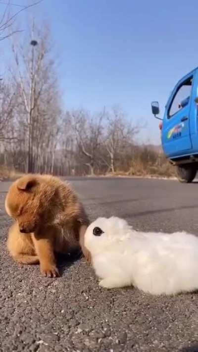 Немного милоты