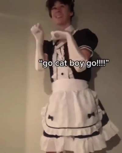 go cat boy go