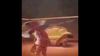 trata de golpearme si puedes