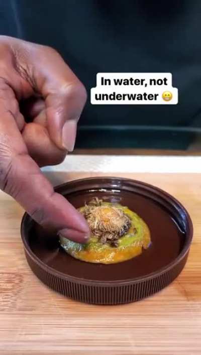 How to propagate a carrot