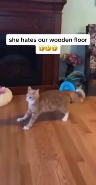 🤭😂