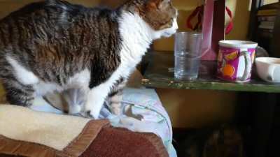 18 years old and still a loveable little asshole