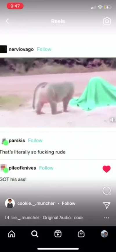 monke