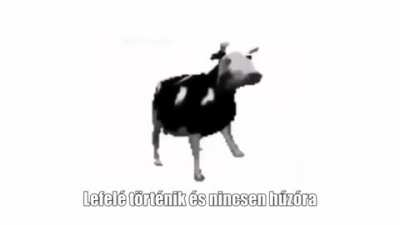 Nem &eacute;n csin&aacute;ltam, de meg kell, hogy osszam.