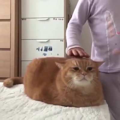 SO BIG