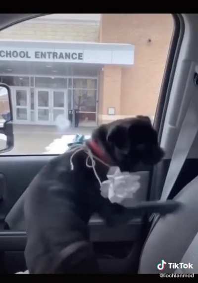 He was reunited with his dog after 3 months