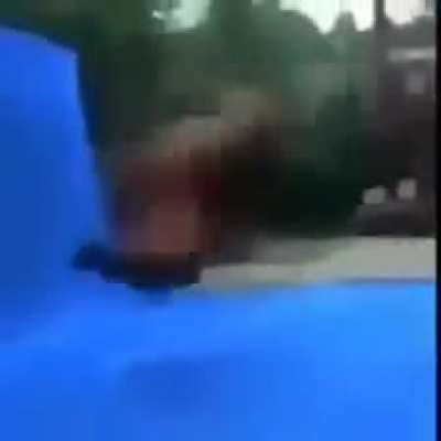 Meme aleat&oacute;rio
