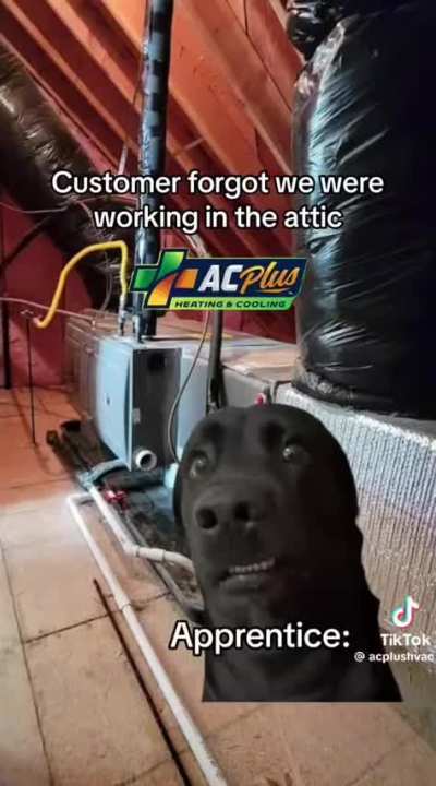 Found this