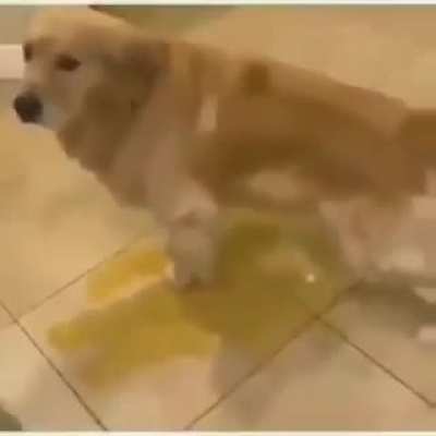 yoo