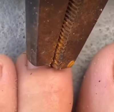 Bigger than you think